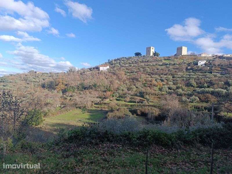 Quinta Pinhel 1 hectare - Grande imagem: 2/12