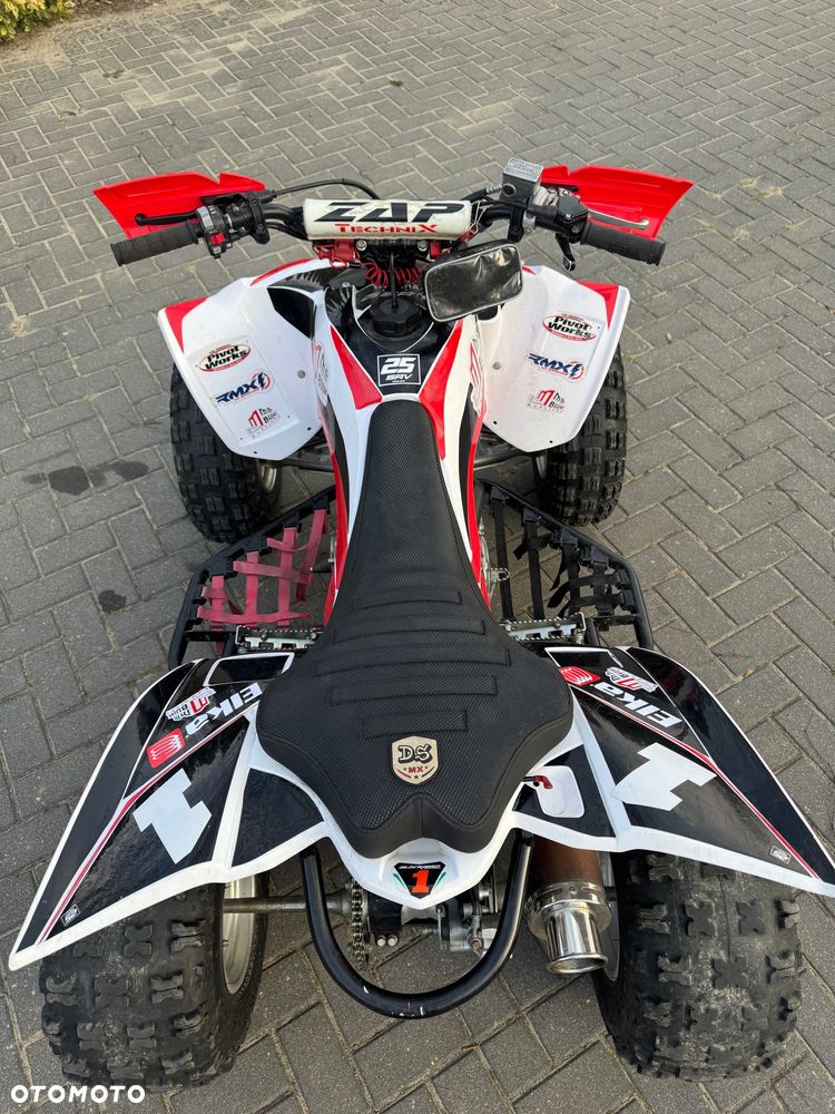 Yamaha Raptor - 7