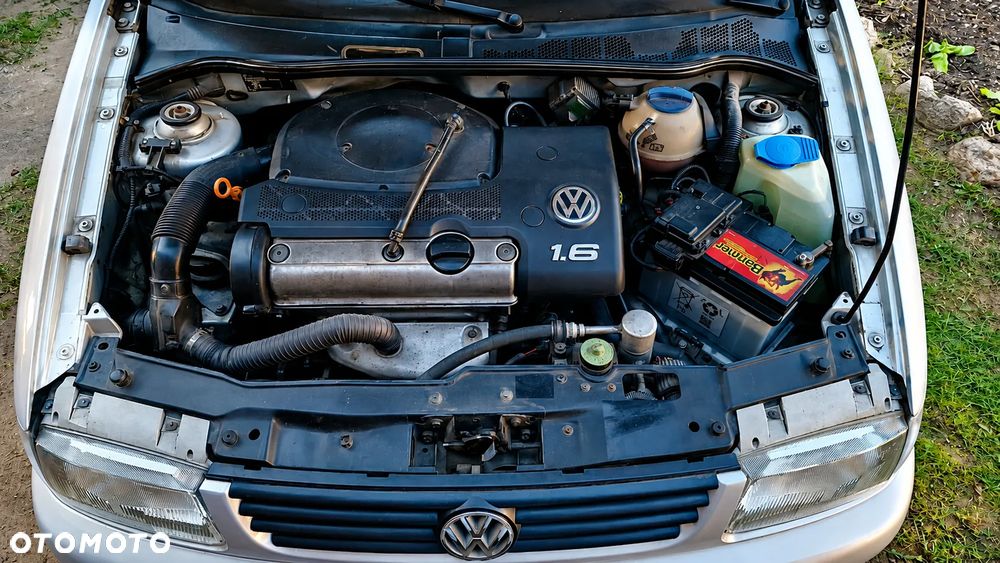 Volkswagen Polo - 7