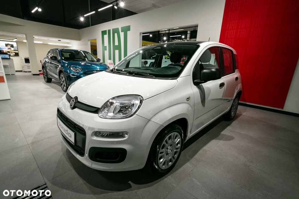 Fiat Panda - 2