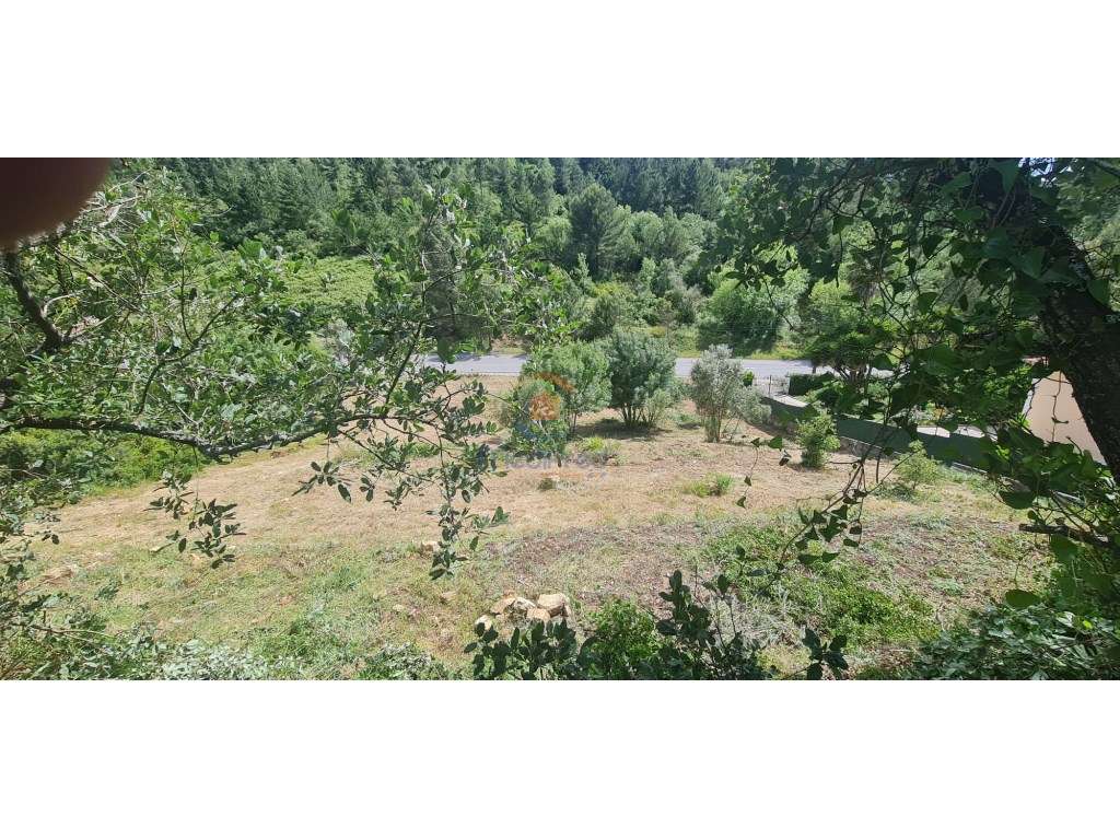 MTM6873 - Quintinha 3.000m2 | Torres Vedras - Grande imagem: 4/11