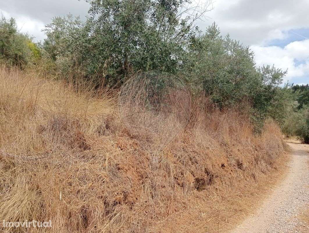 Terreno  para venda - Grande imagem: 2/3