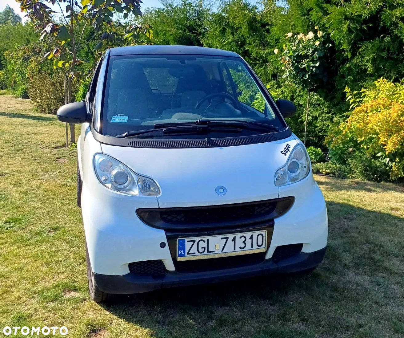 Smart Fortwo cdi coupe softouch black&white limited dpf - 3