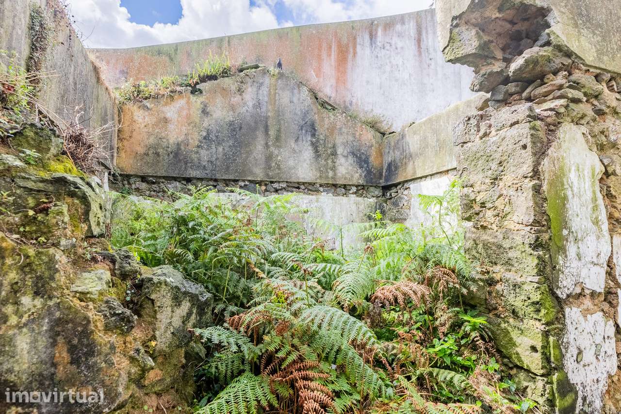 Terreno com ruína - Fajã de Cima - Grande imagem: 5/18