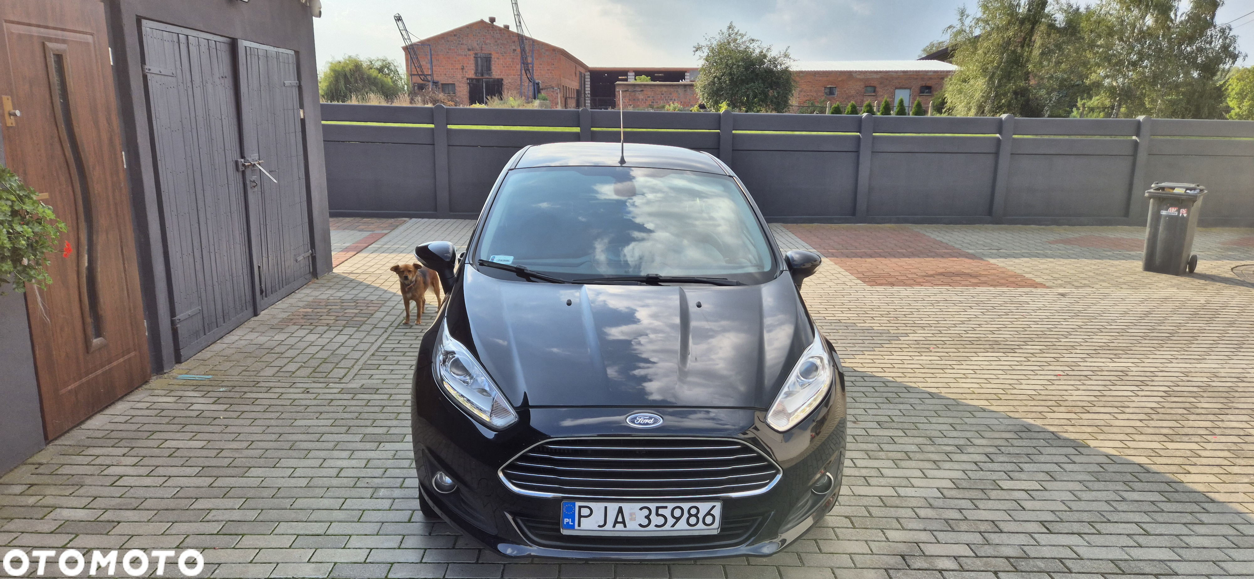 Ford Fiesta 1.6 TDCi Titanium - 7