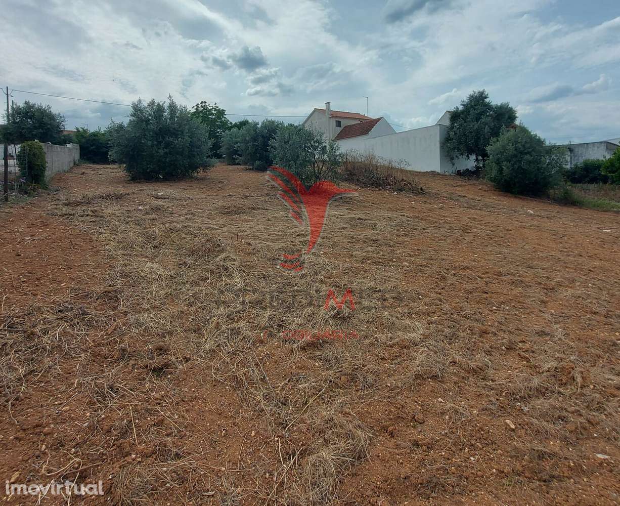 Terreno Rústico com viabilidade em Abitureiras, Santarém. - Grande imagem: 3/14