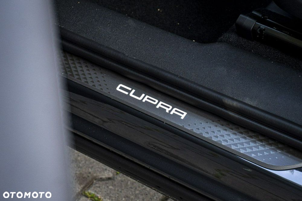 Cupra Terramar 2.0 TSI 4Drive Advantage Edition DCC DSG - 16