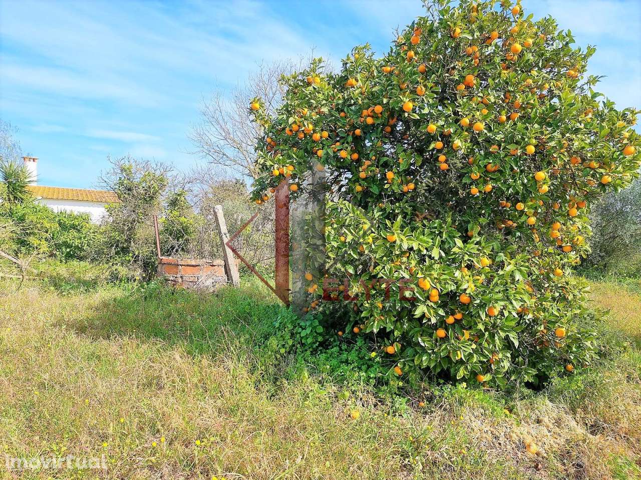 Terreno com moradia em ruinas - Grande imagem: 5/9