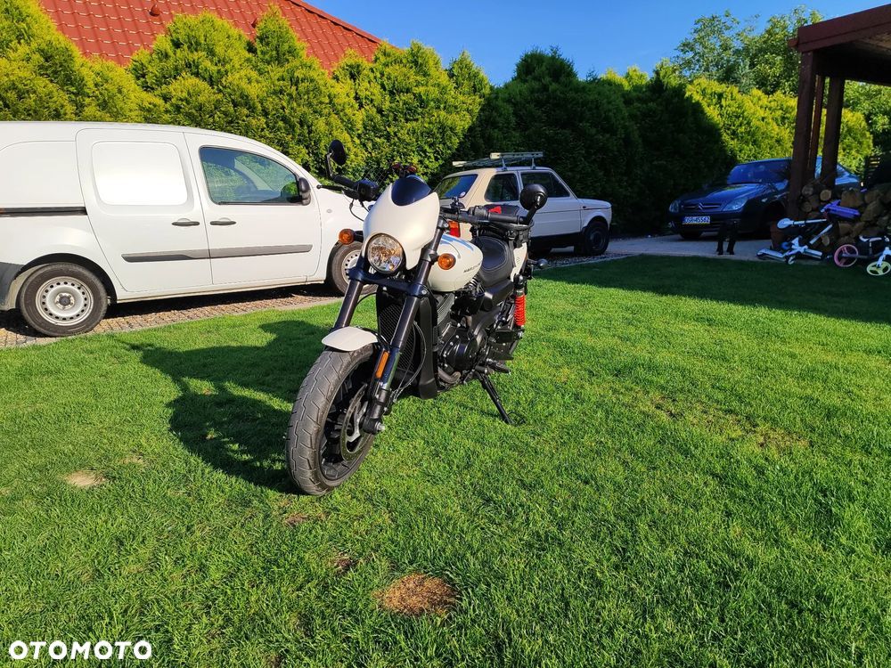 Harley-Davidson Street Rod XG 750A - 3