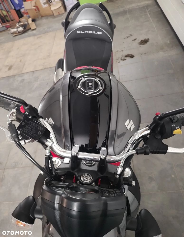 Suzuki Gladius - 28