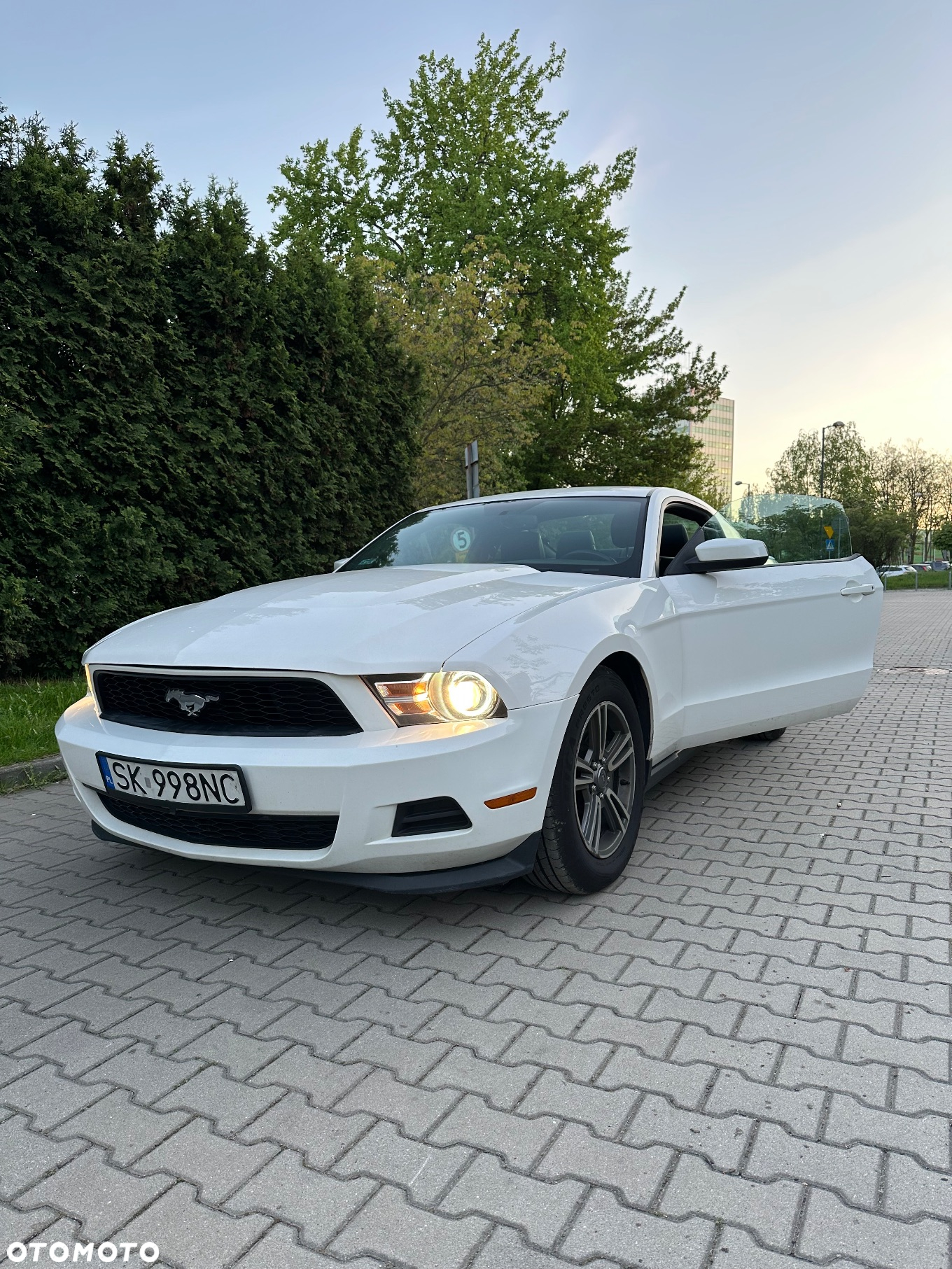 Ford Mustang 3.7 V6 Premium - 2