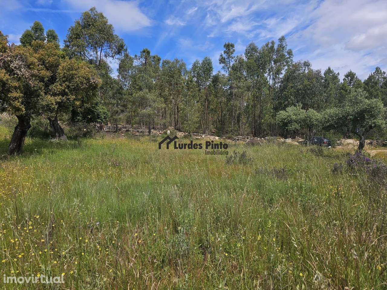 Terreno perto de Castelo Branco - Grande imagem: 3/10