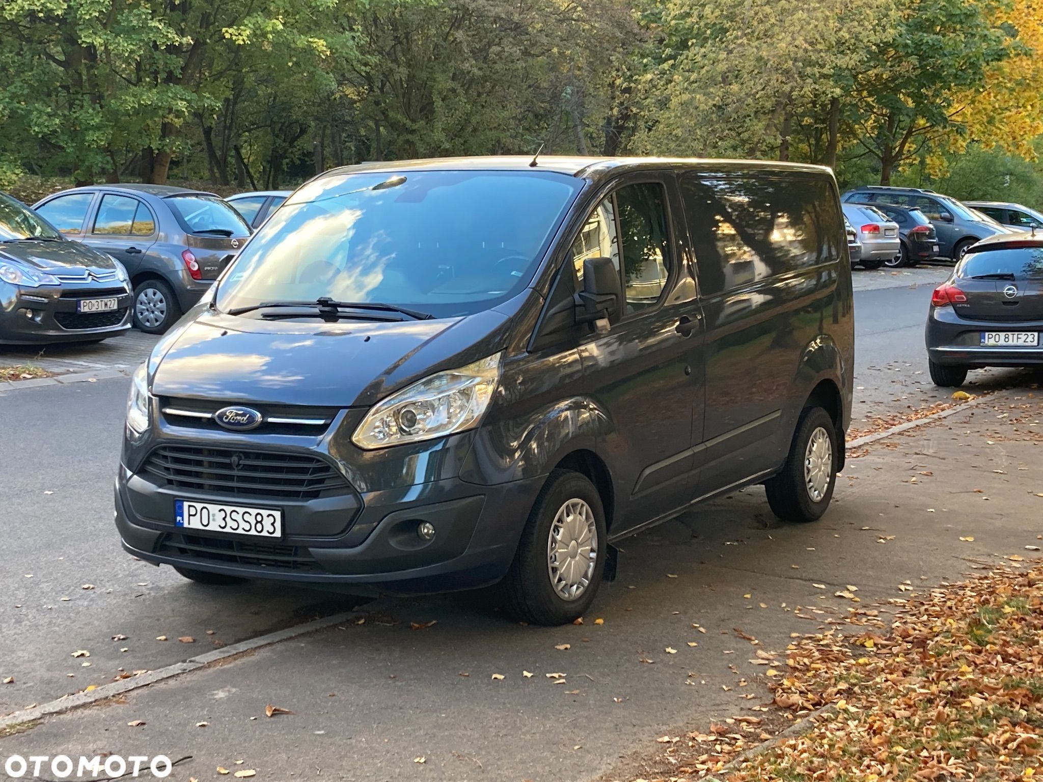 Ford Transit custom - 1
