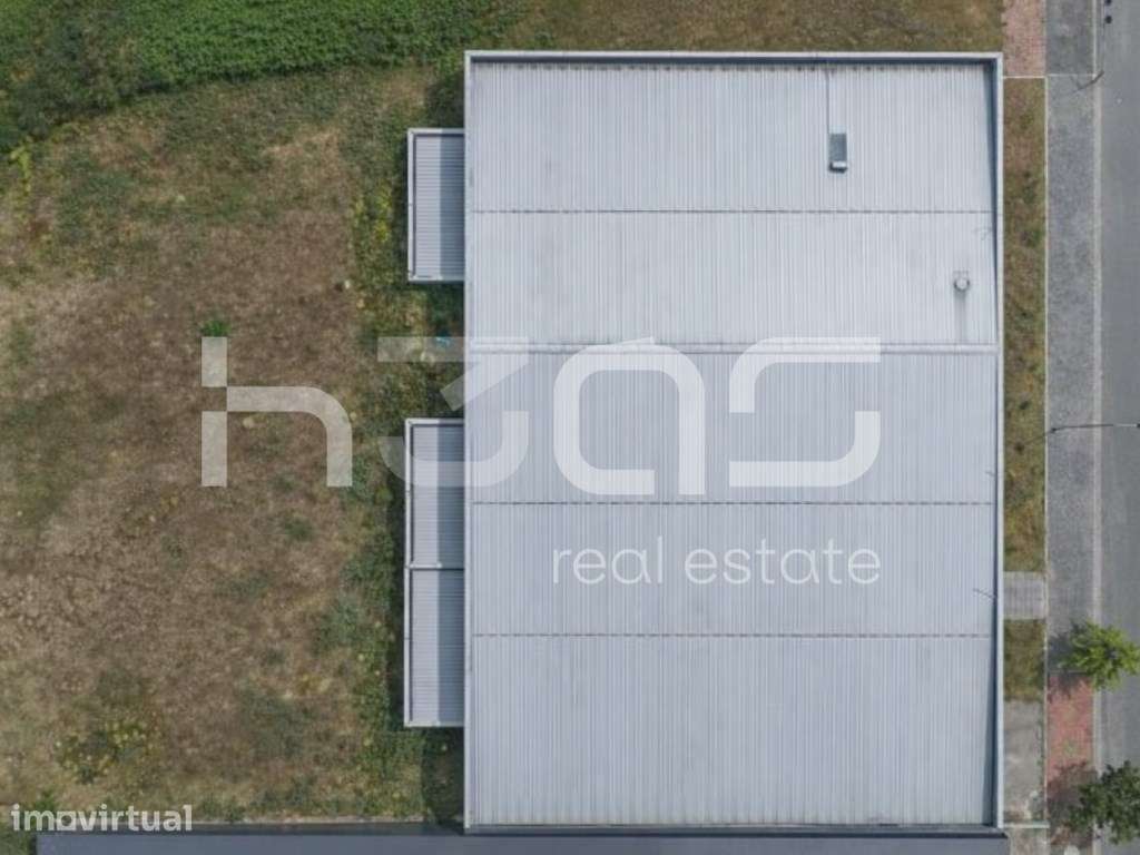 Pavilhão Industrial de Referência com Forte Capacidade Operacional - Grande imagem: 5/9