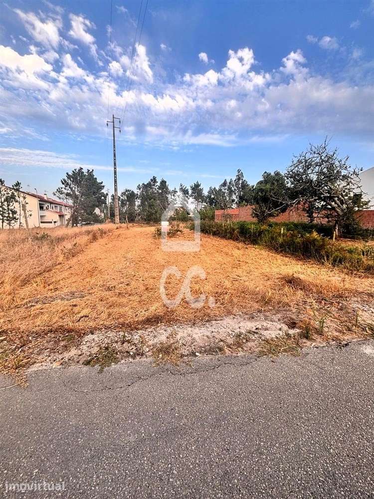 Terreno  Venda em Vieira de Leiria,Marinha Grande - Grande imagem: 3/6