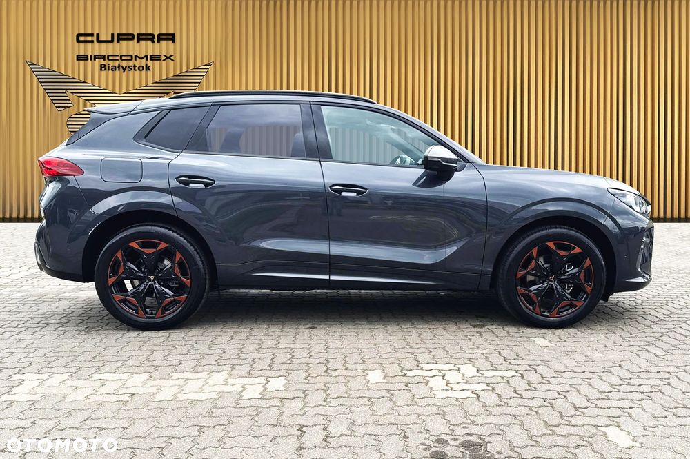 Cupra Terramar - 7