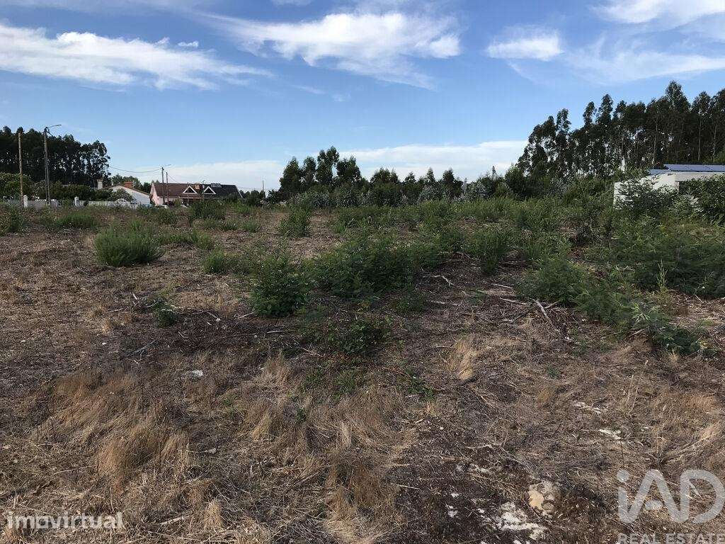 Terreno para construção em Ovar, São João, Arada e São Vicente de Pere