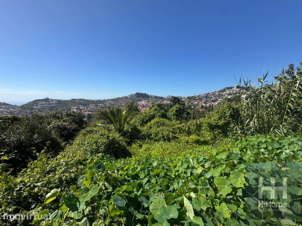 Terreno com 6.090 m² no Funchal, com excelente vista mar e cidade - Grande imagem: 5/11
