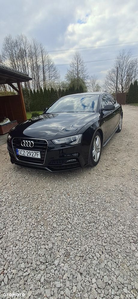 Audi A5 Sportback 2.0 TDI (clean diesel) quattro DPF - 13