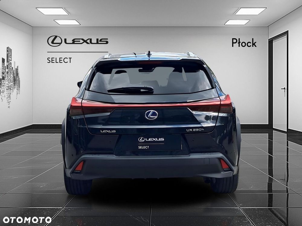 Lexus UX 250h GPF Business Edition 2WD - 4
