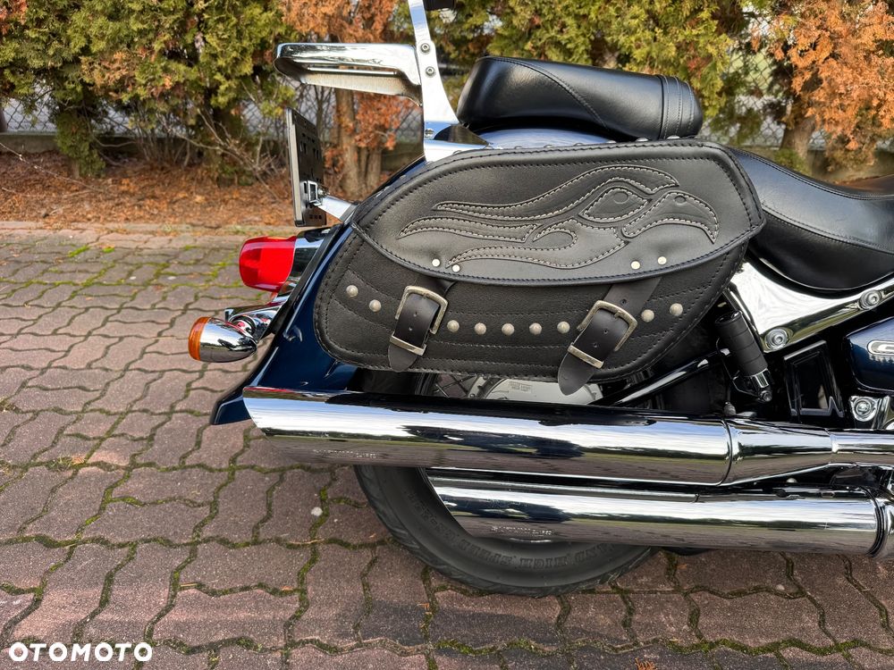 Suzuki Intruder - 10