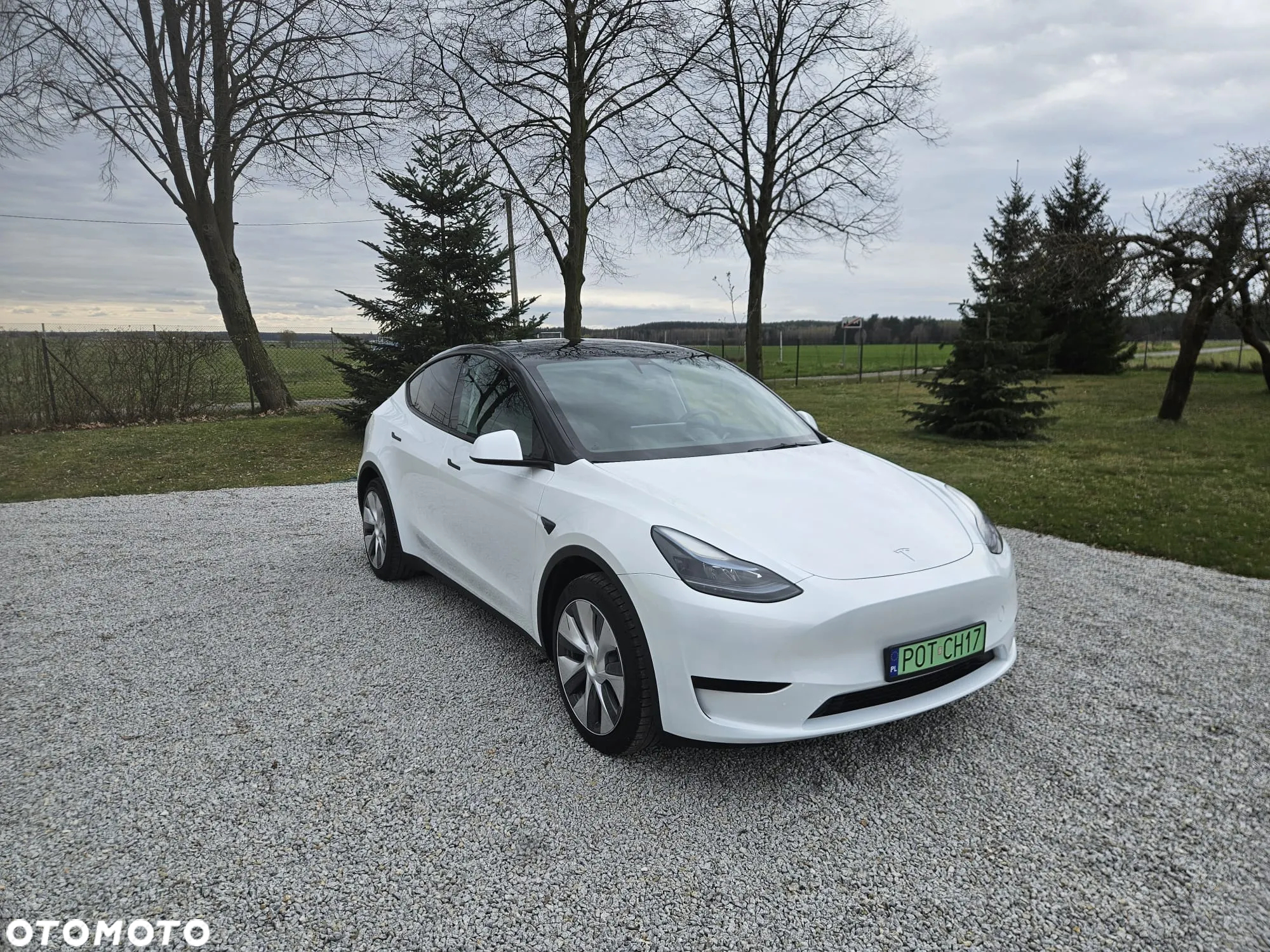 Tesla Y Model RWD - 4