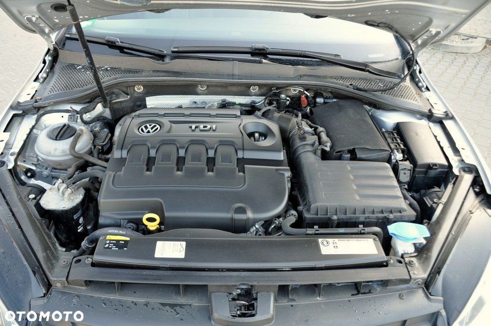 Volkswagen Golf - 39