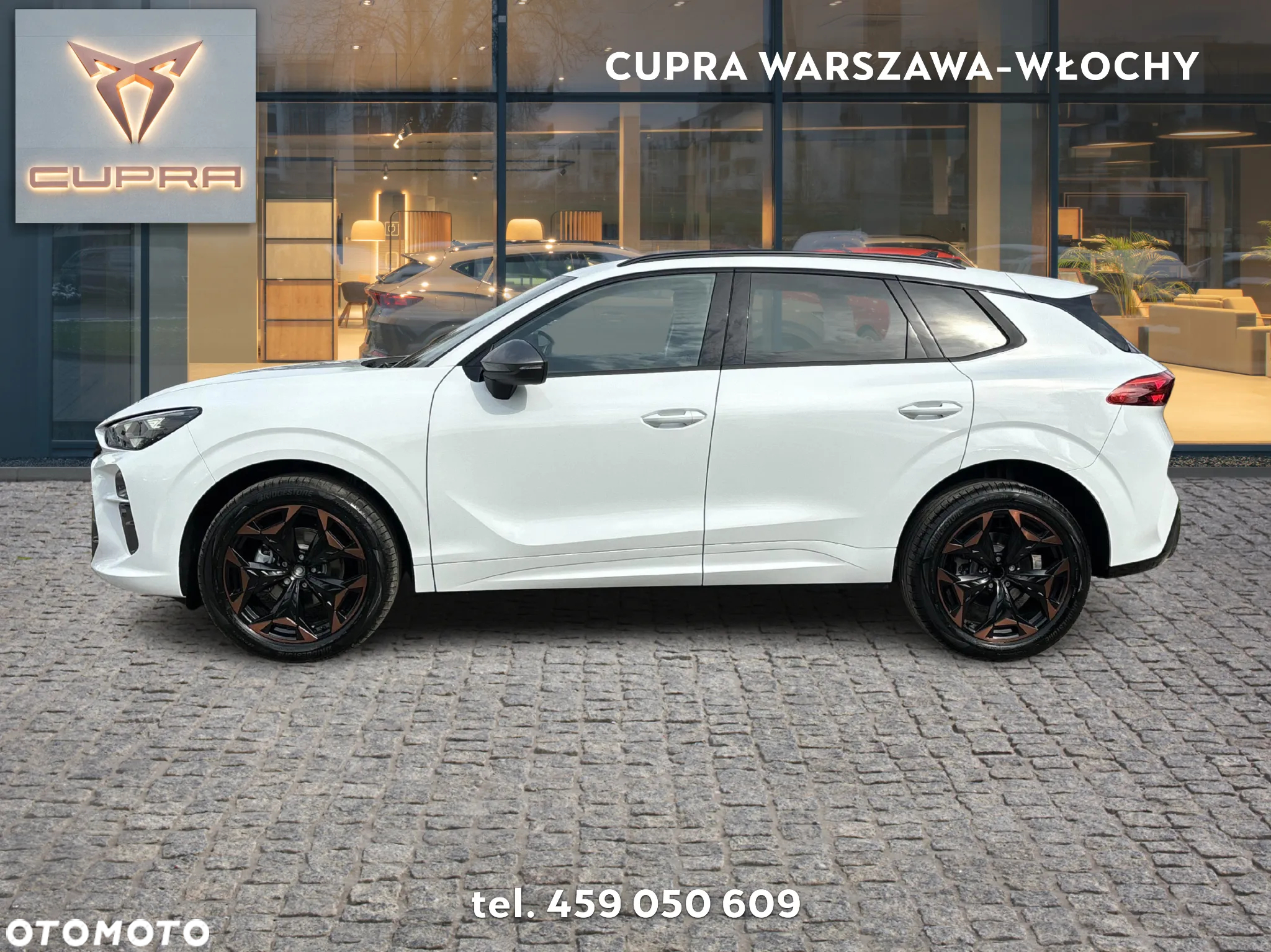 Cupra Terramar - 2