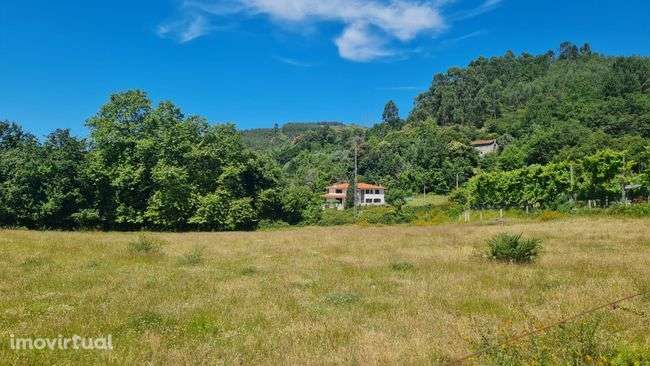 Terreno com 4700 m2 - Grande imagem: 4/6