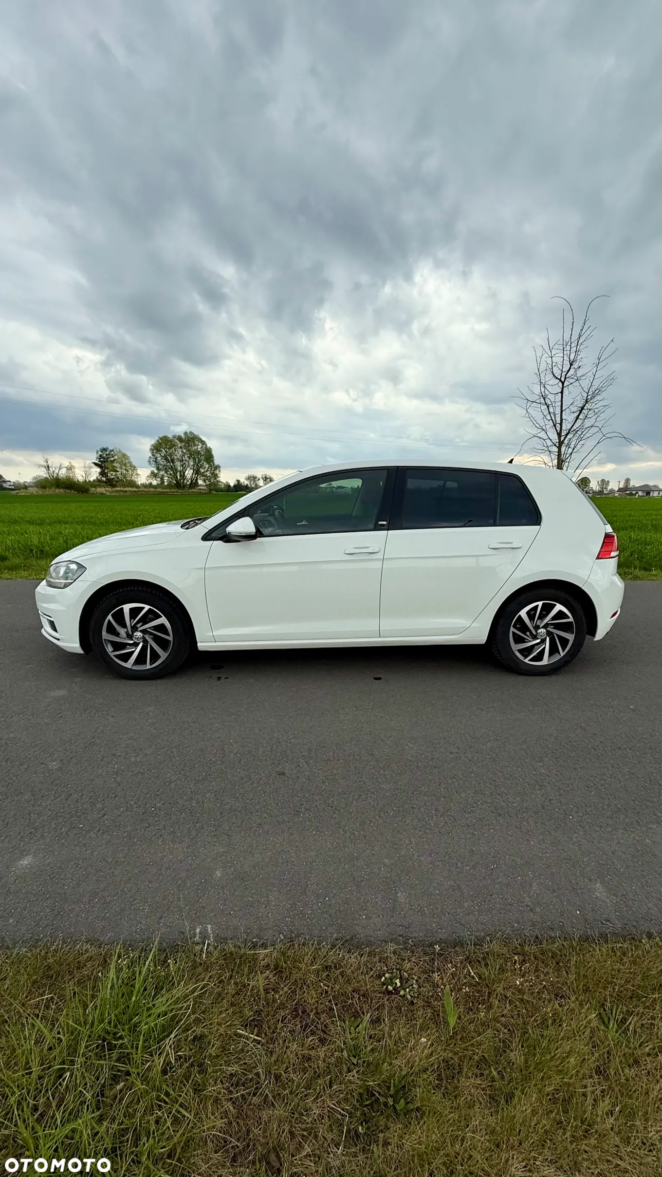 Volkswagen Golf - 4