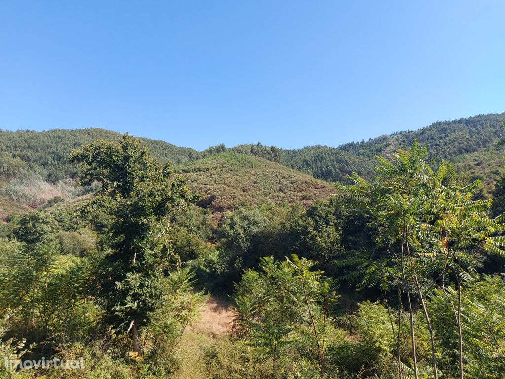 Venda Terreno - Grande imagem: 3/5