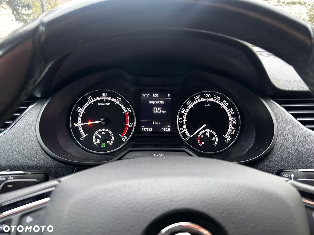 Skoda Octavia 1.5 TSI G-TEC DSG Active - 15