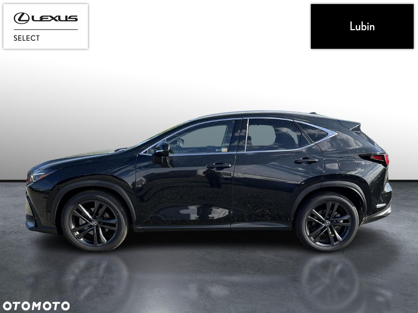 Lexus NX - 2