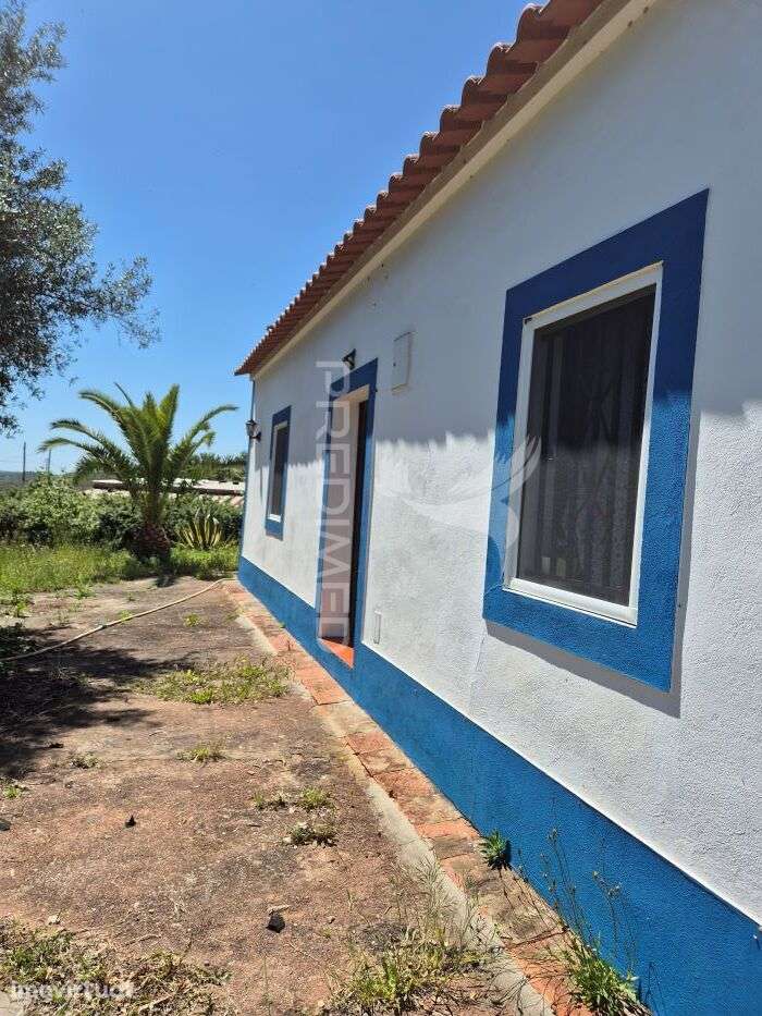 Monte Alentejano em Fonte Boa de Baixo - Grande imagem: 3/21