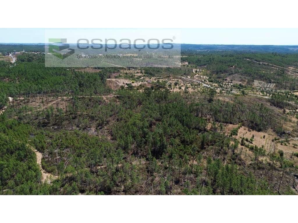 Terreno - Grande imagem: 4/9