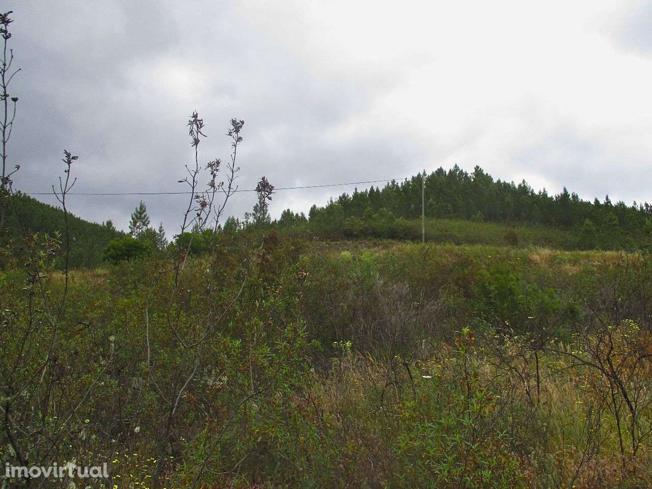 Terreno - Grande imagem: 2/7
