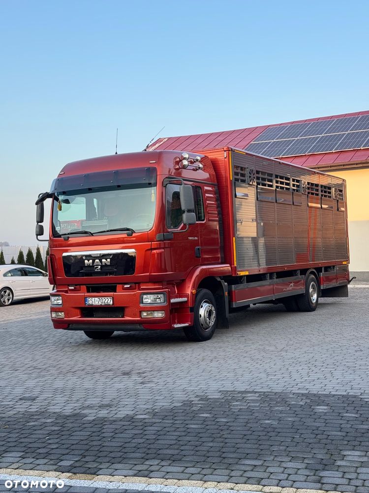 MAN TGM - 3
