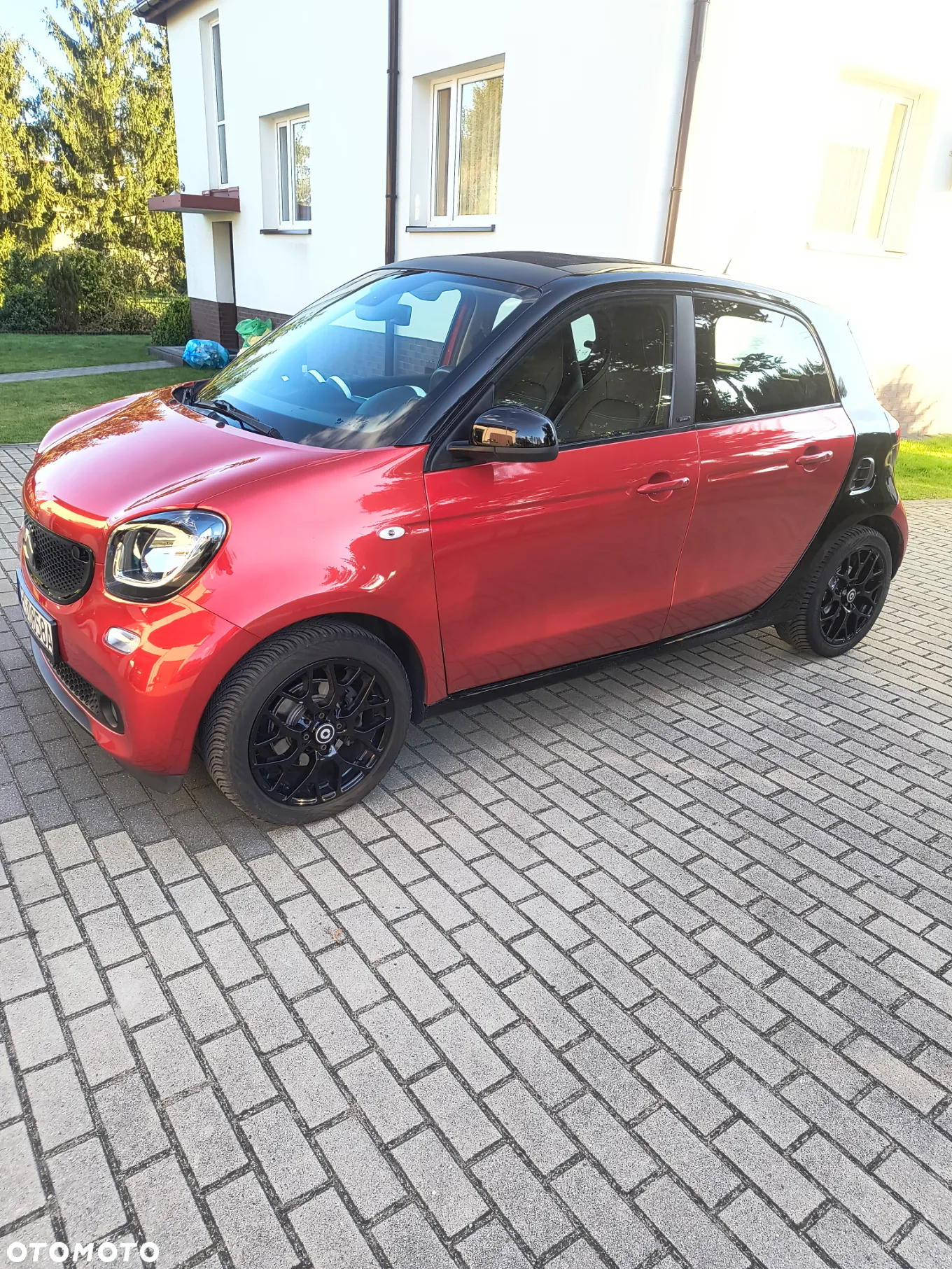 Smart Forfour passion - 14