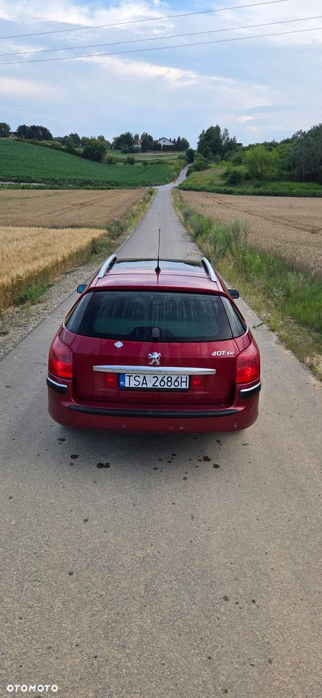 Peugeot 407 - 4