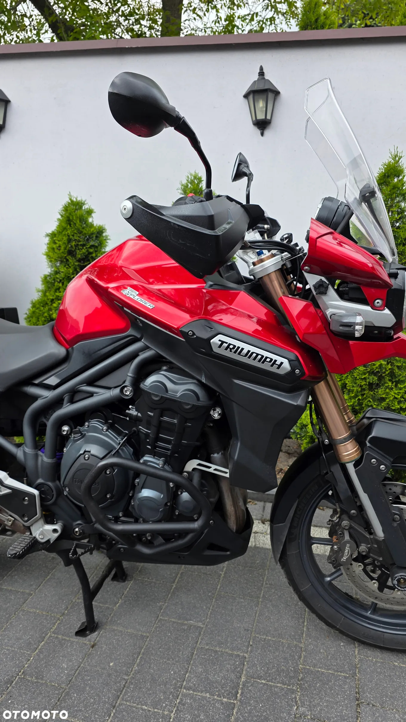 Triumph Tiger - 3