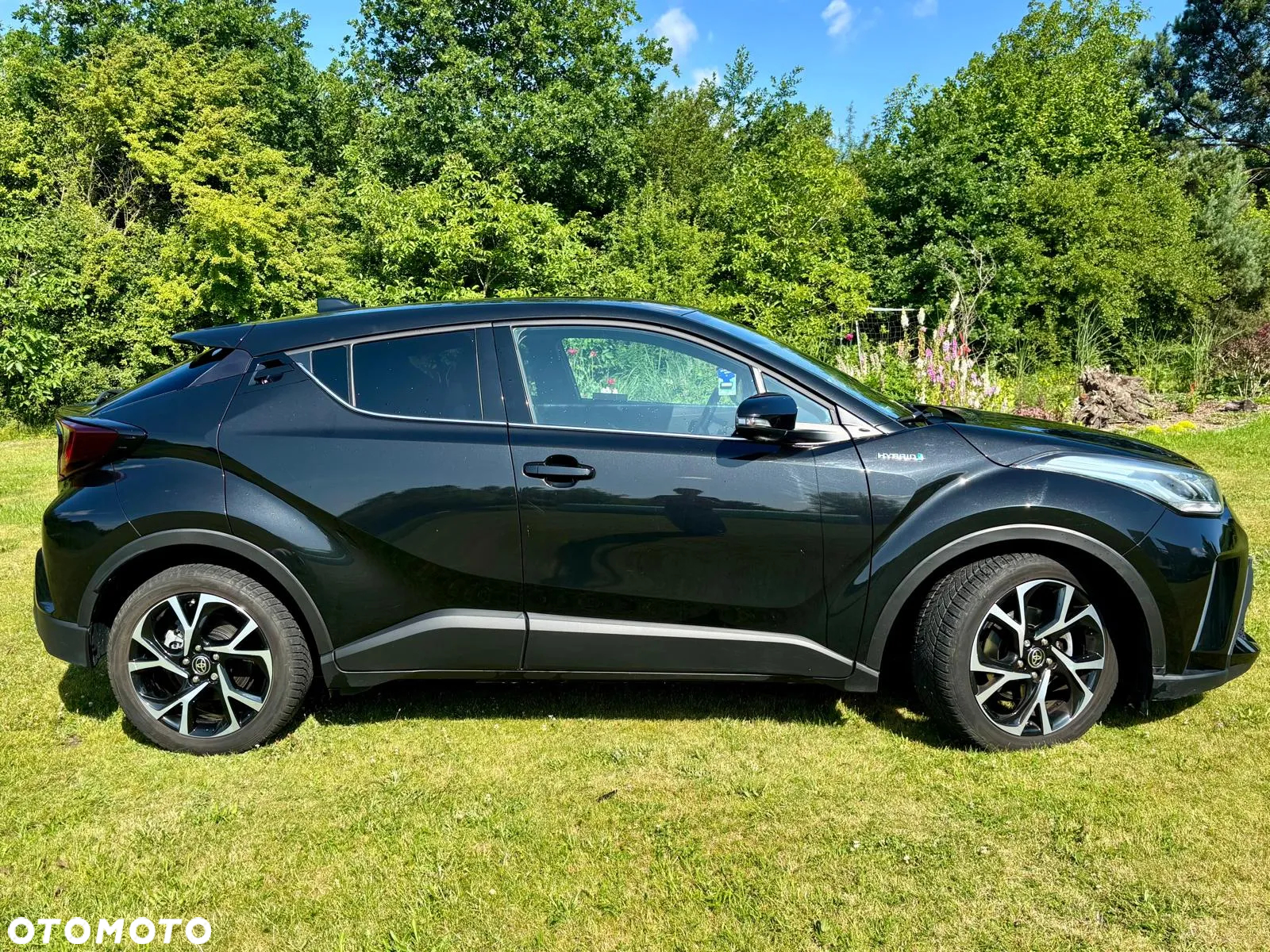 Toyota C-HR 2.0 Hybrid Executive - 6