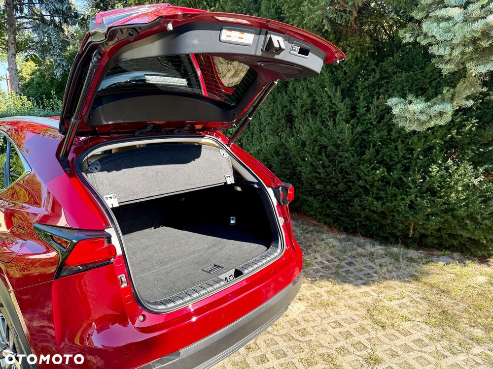 Lexus NX 300 Comfort AWD - 12