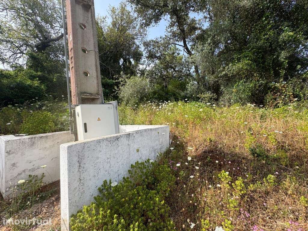 Terreno rustico inserido em malha urbana Tipo C, Salir, Algarve - Grande imagem: 3/10