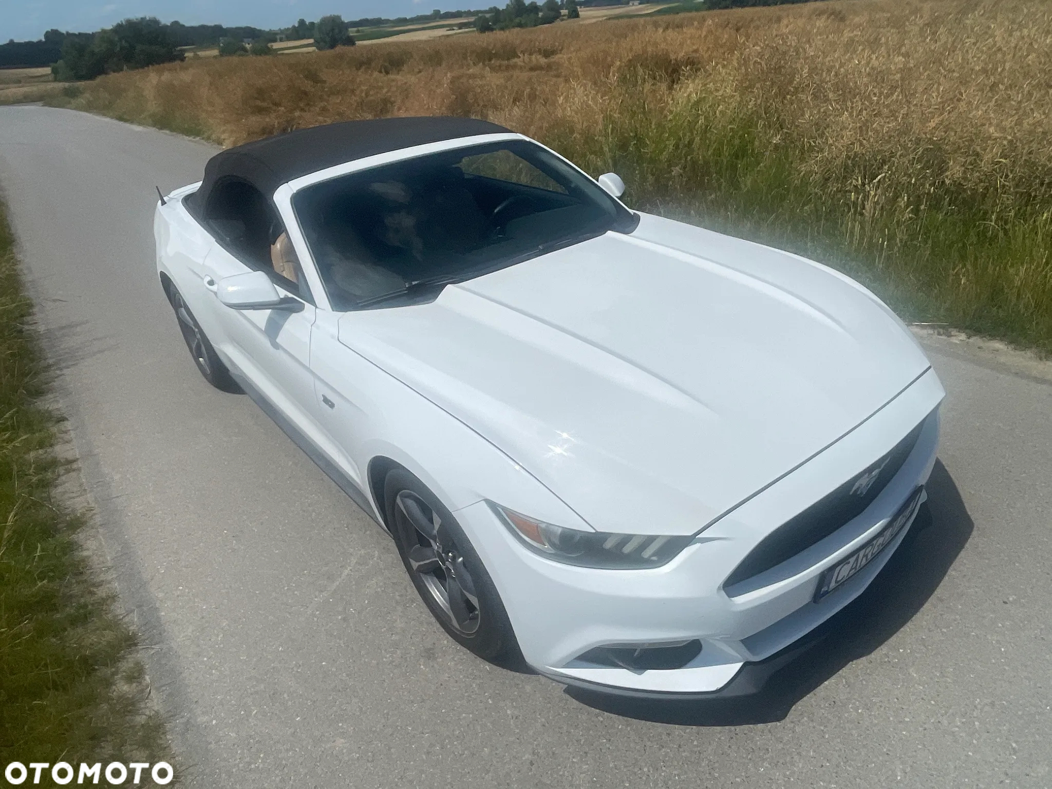 Ford Mustang 3.7 V6 - 11