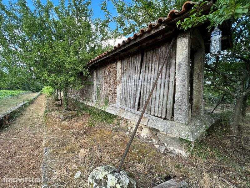 Quinta com vinha em Valença (Torre, São Julião) - Grande imagem: 5/12