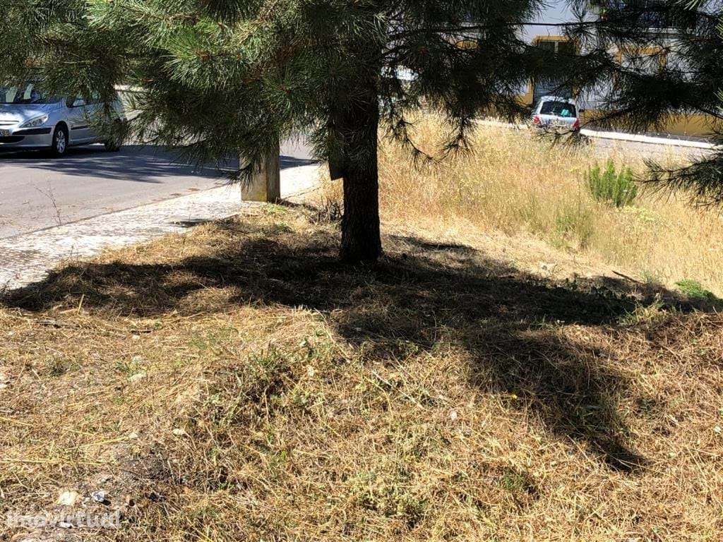 Lote de Terreno  Venda em Abrantes (São Vicente e São João) e Alferrar - Grande imagem: 4/6