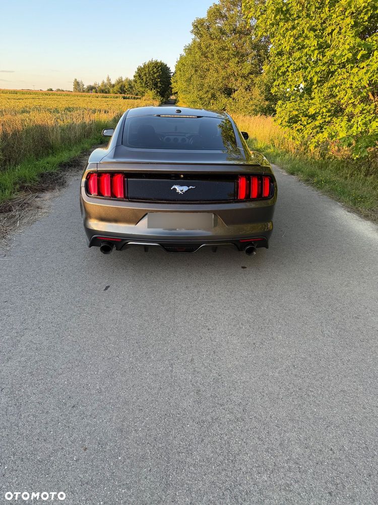 Ford Mustang 2.3 EcoBoost - 15