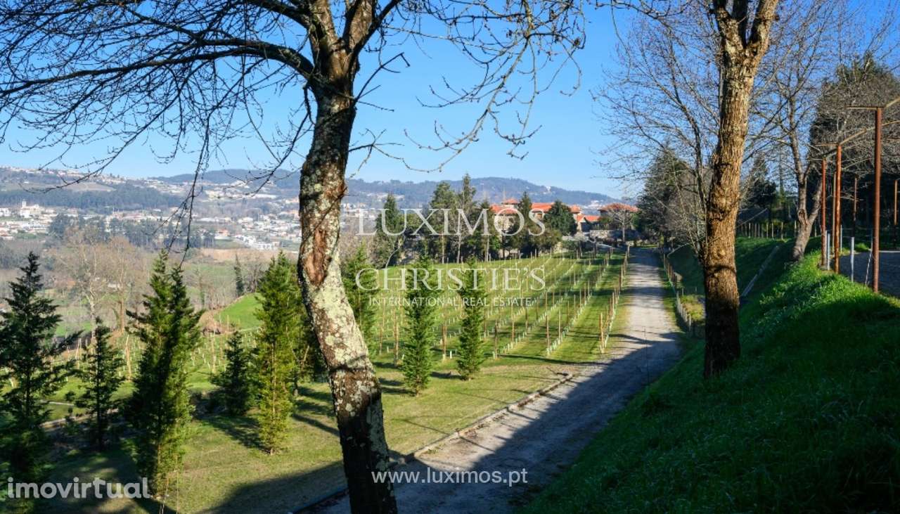 Quinta Vinícola V7 para venda em Felgueiras, Norte de Portugal - Grande imagem: 4/43