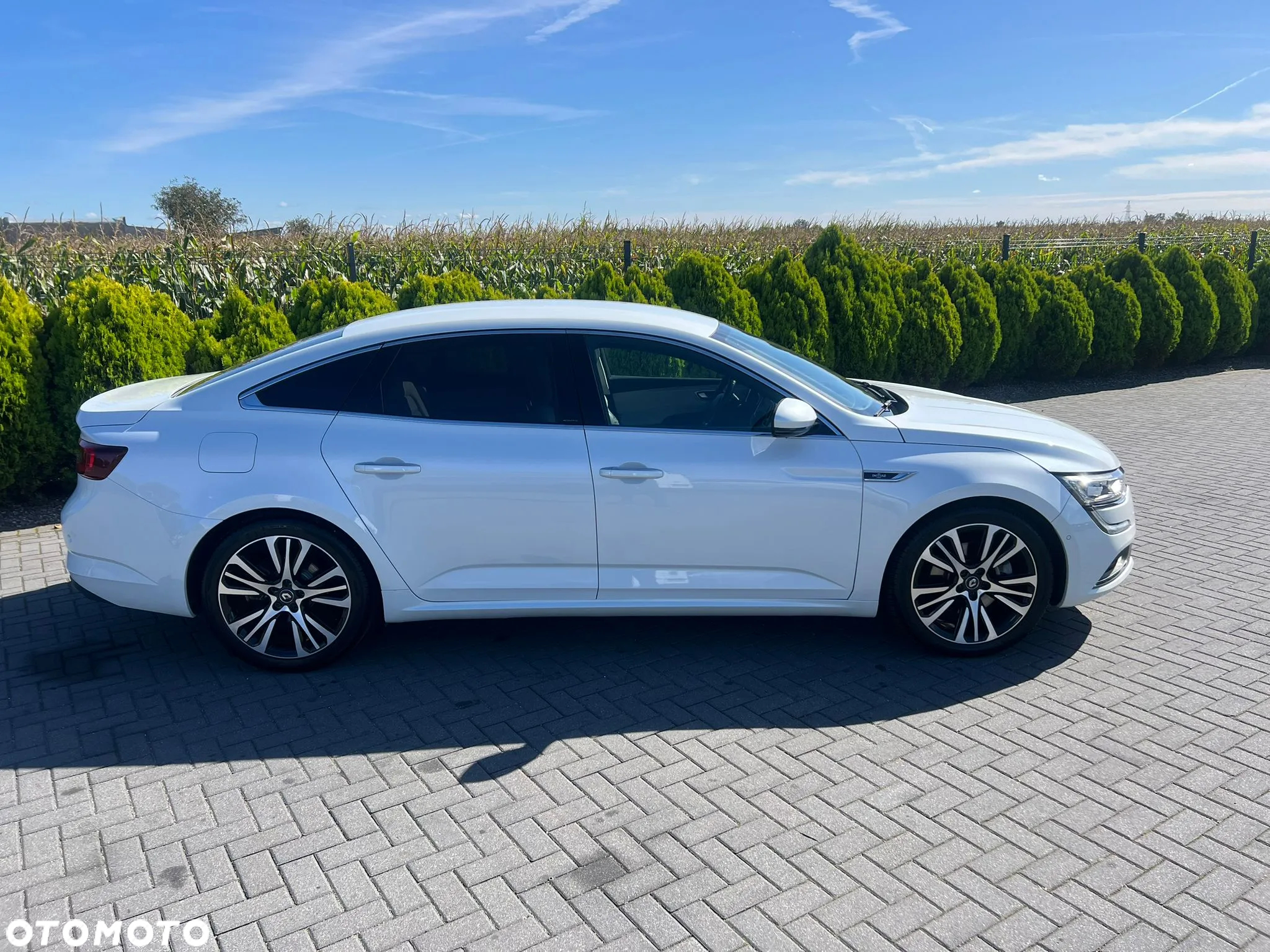 Renault Talisman 2.0 Blue dCi Initiale Paris EDC - 5