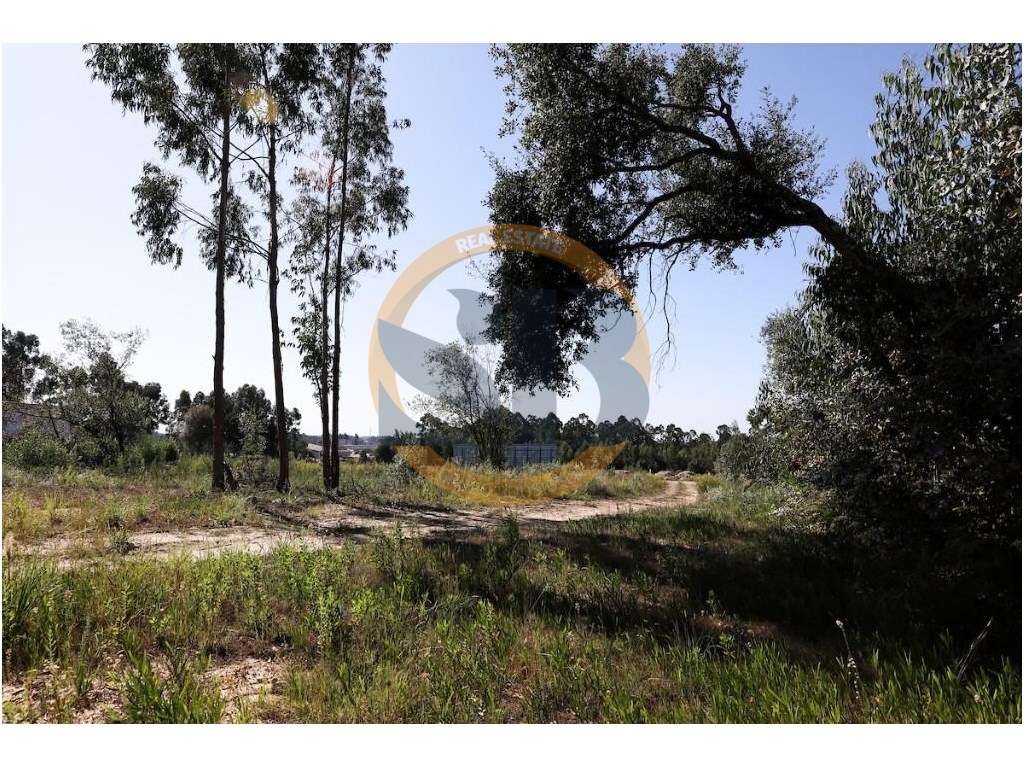 Terreno Santa Maria da Feira - Grande imagem: 4/7